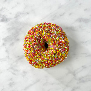 Iced Ring Doughnut with Sprinkles